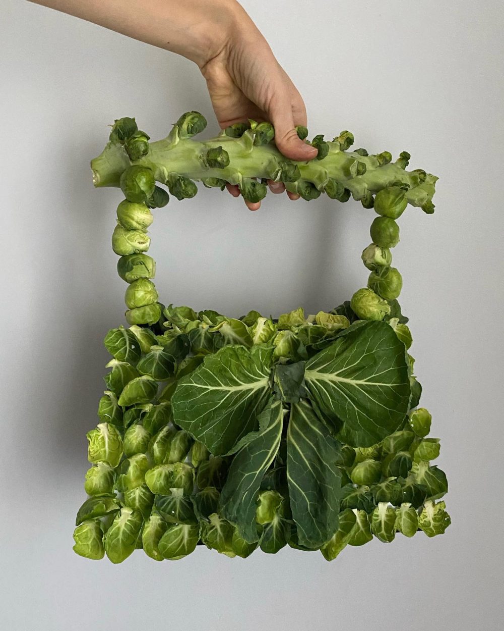 لباس‌های ساخته شده از سبزیجات